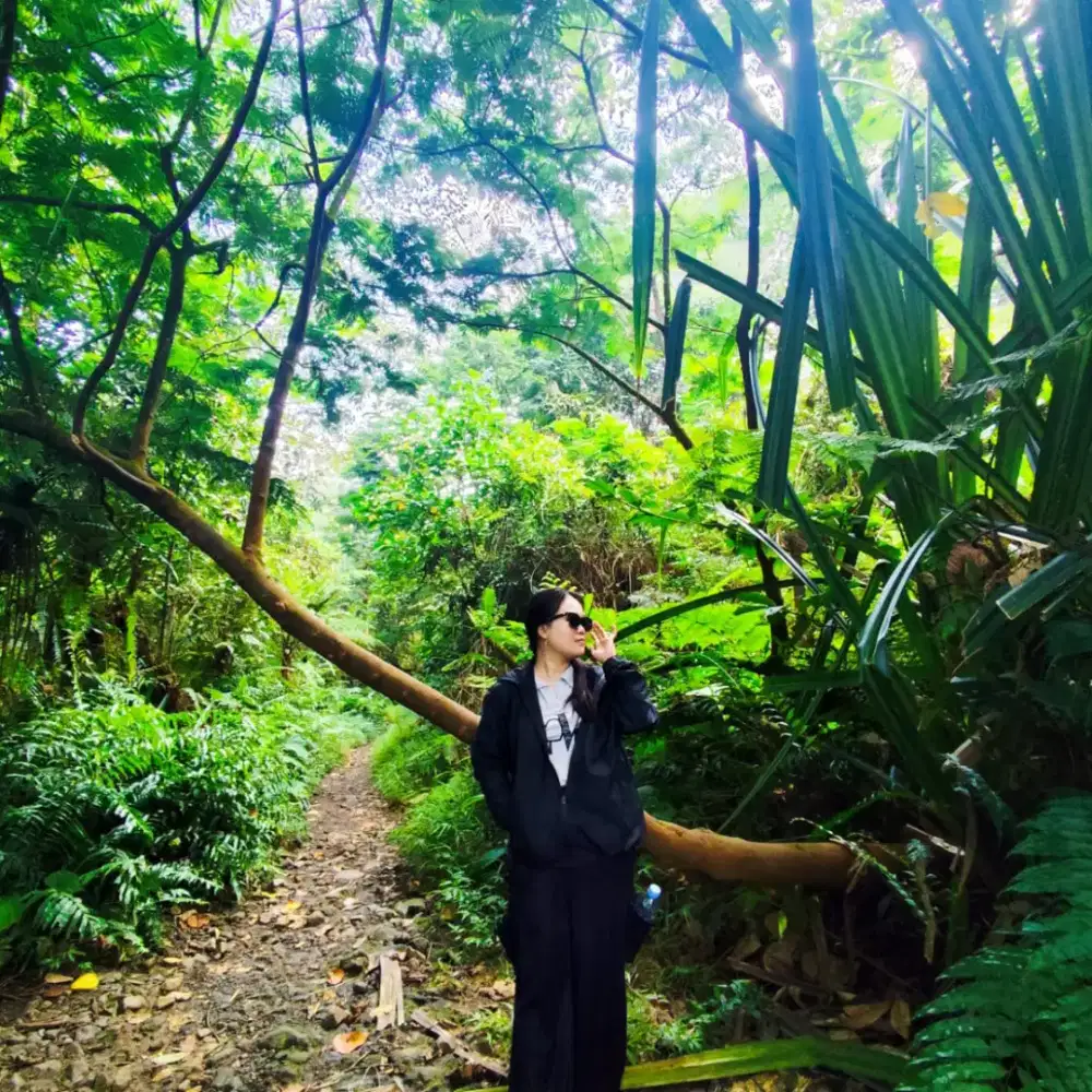 Nama dian nyari pekerjaan