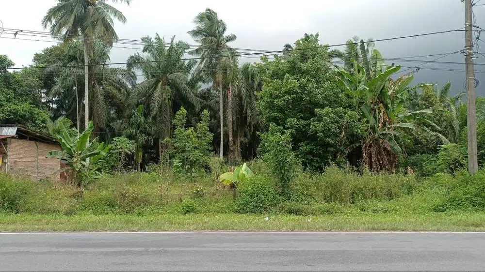Tanah Kering di Jalan Lintas Pasaman Manggopoh, Agam Sumatera Barat