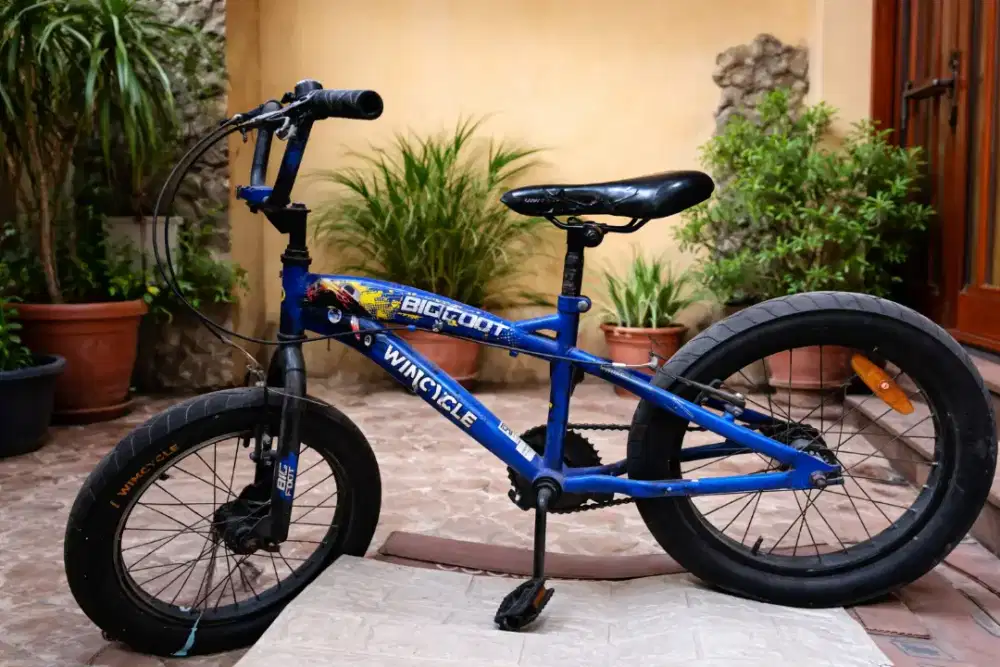 Dijual sepeda anak Wimcycle