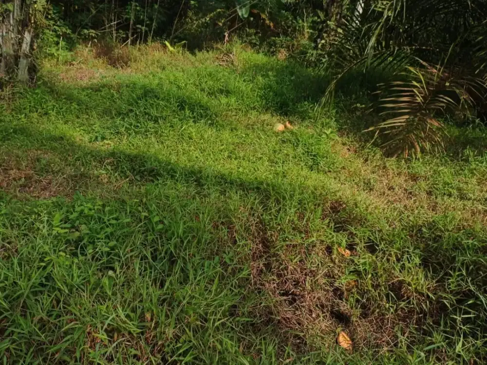 [DIJUAL CEPAT] Tanah Hoek 1.746 m² (Luas Lebih di Lapangan) – Cocok untuk Rumah/Gudang/Kebun