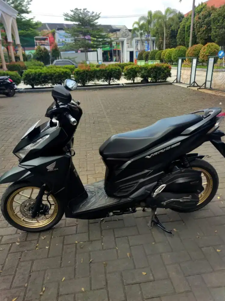 Vario led old 2018