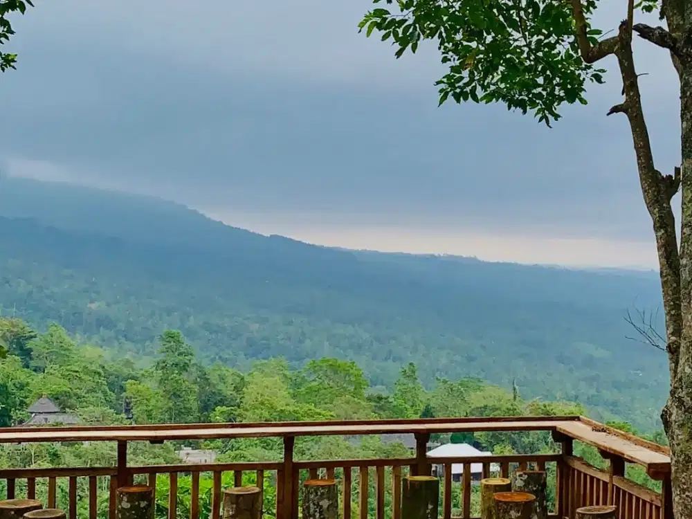 Land On Hilltop 3 Stunning Views Mountain Valley Forest Jatiluwih Bali