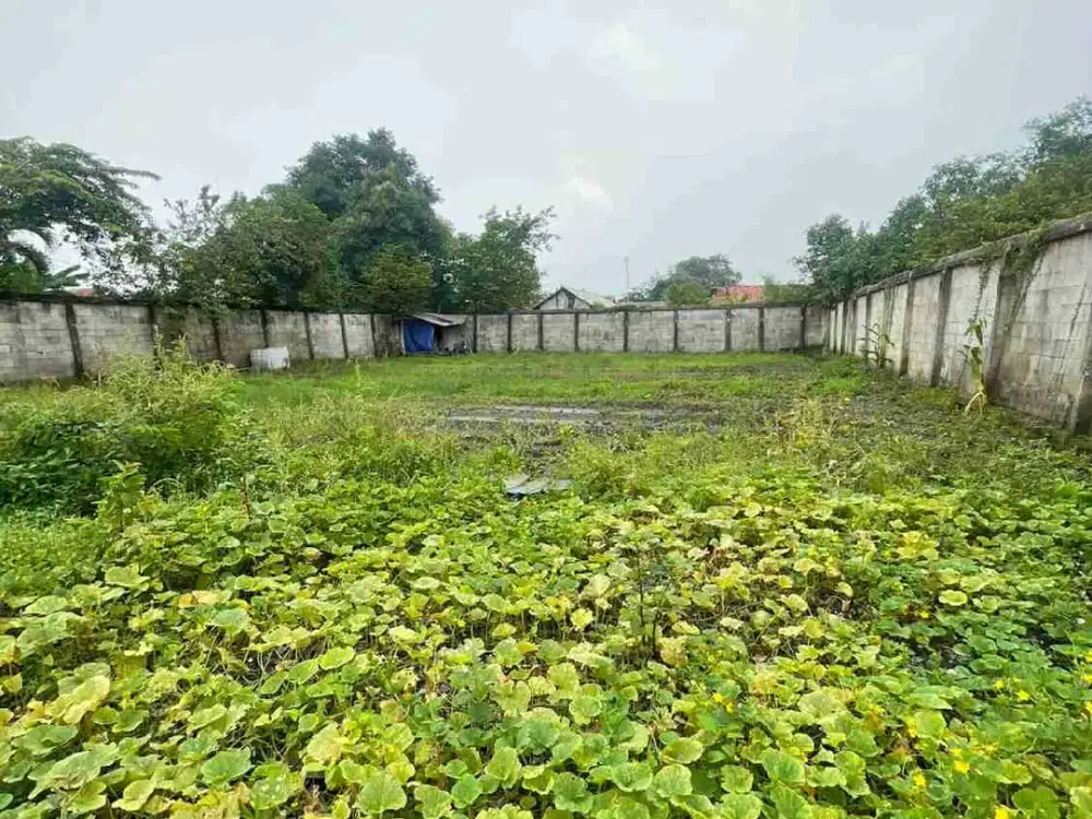 Dijual Tanah pinggir jalan LT 975 M²