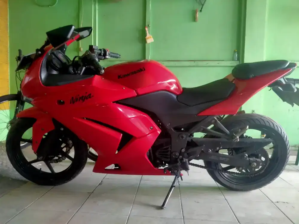 Ninja 250 Karbu