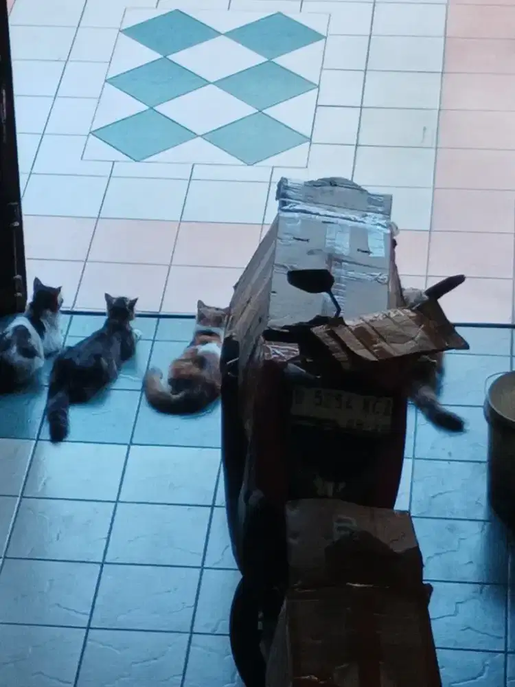 Yamaha mio, jual cepat, foto blm lengkap krn malam