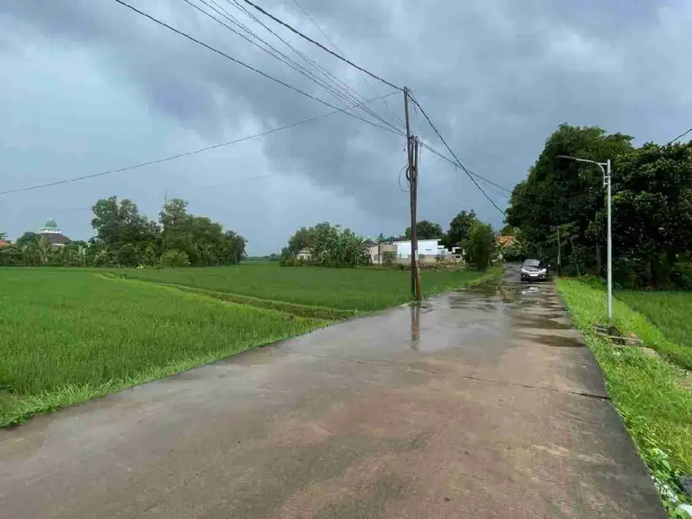 Dijual Sawah Pinggir Jalan LT 30,540 M²