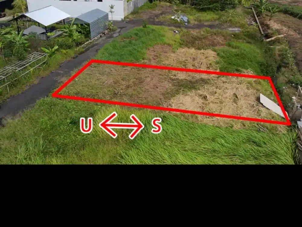 DI JUAL TANAH VIEW SAWAH DENPASAR BARAT BALI COCOK UNTUK VILLA