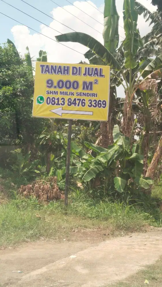 TANAH DIJUAL MURAH BUTUH UANG