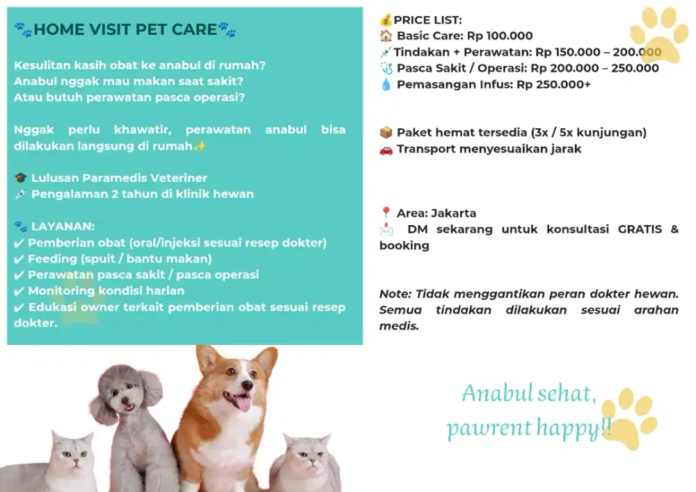 Jasa Home visit kucing/anjing (kasih obat, Feeding, infus)