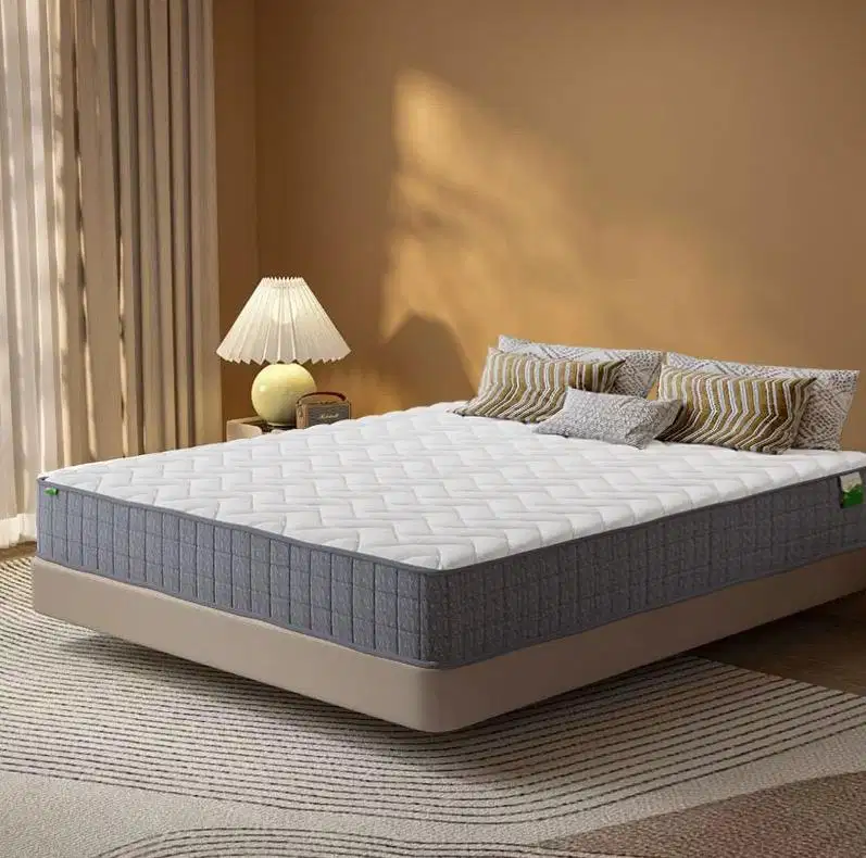 Dicari wanita umur max 25 untuk host live streaming