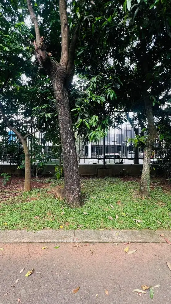 Disewakan furnished Rumah The Icon BSD