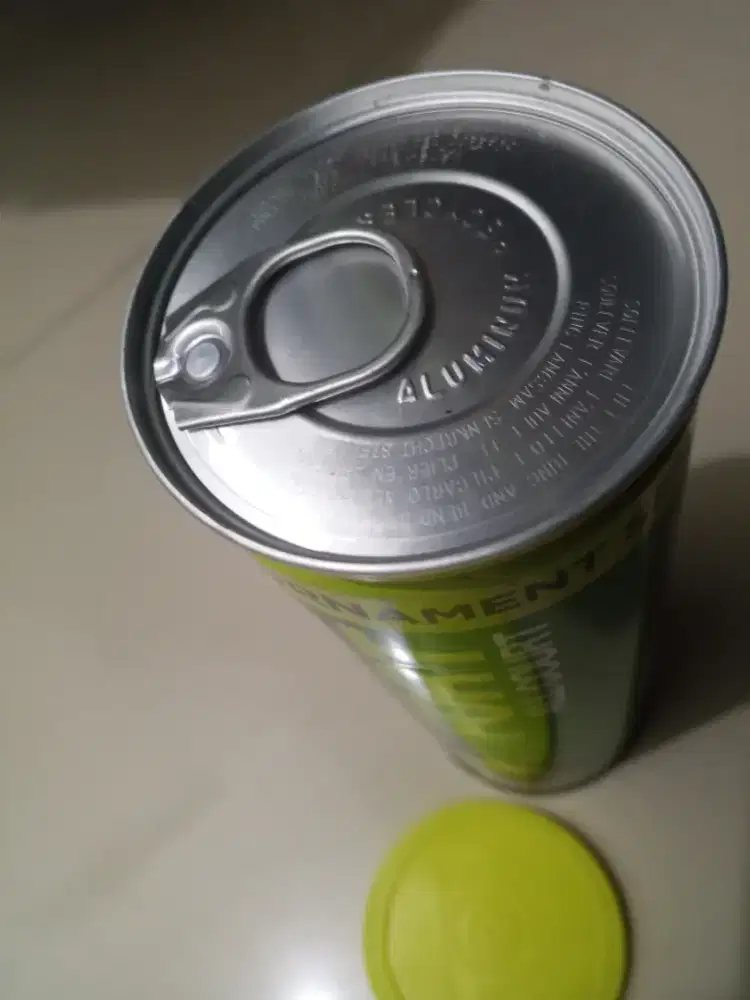 Bola Tenis Dunlop FORT