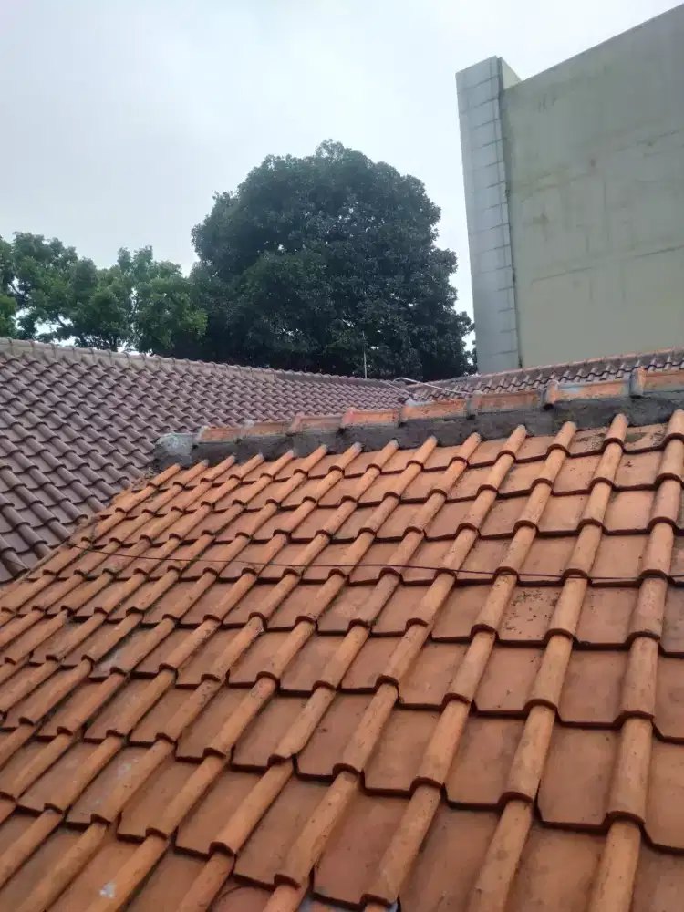 Tukang atap bocor tukang kanopi tukang bangunan tukang cat tukang las