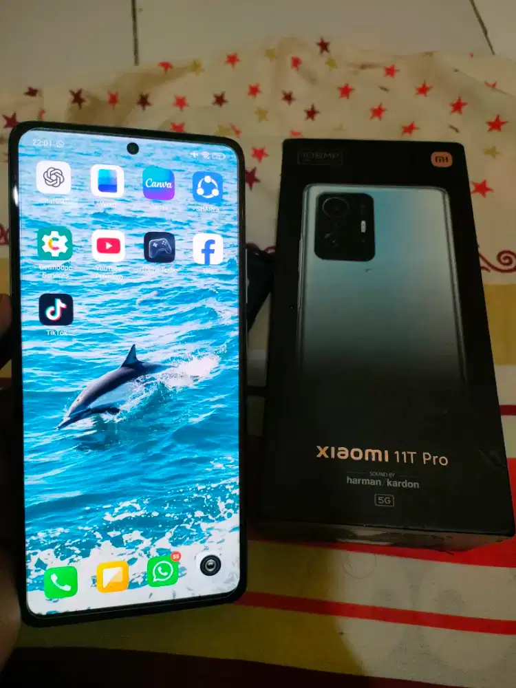 Xiaomi 11T Pro 8/256