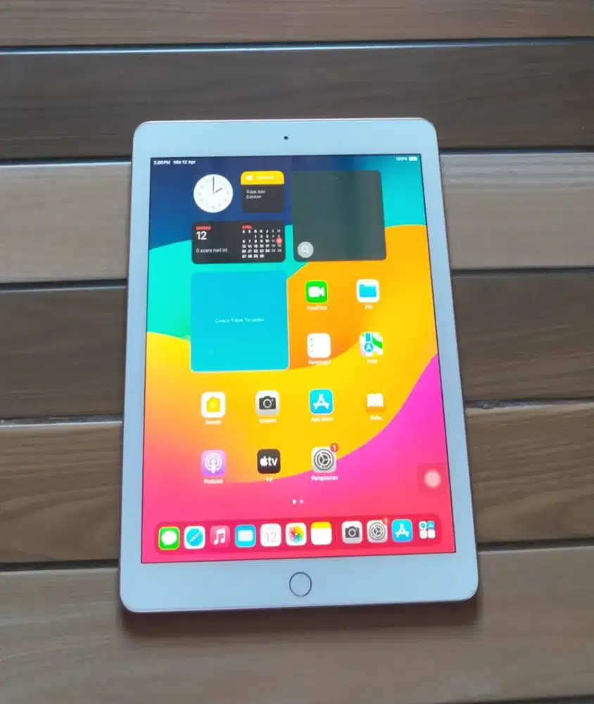 iPad Gen 6th Wi-Fi 32GB Normal Mulus Bypass Charger Only