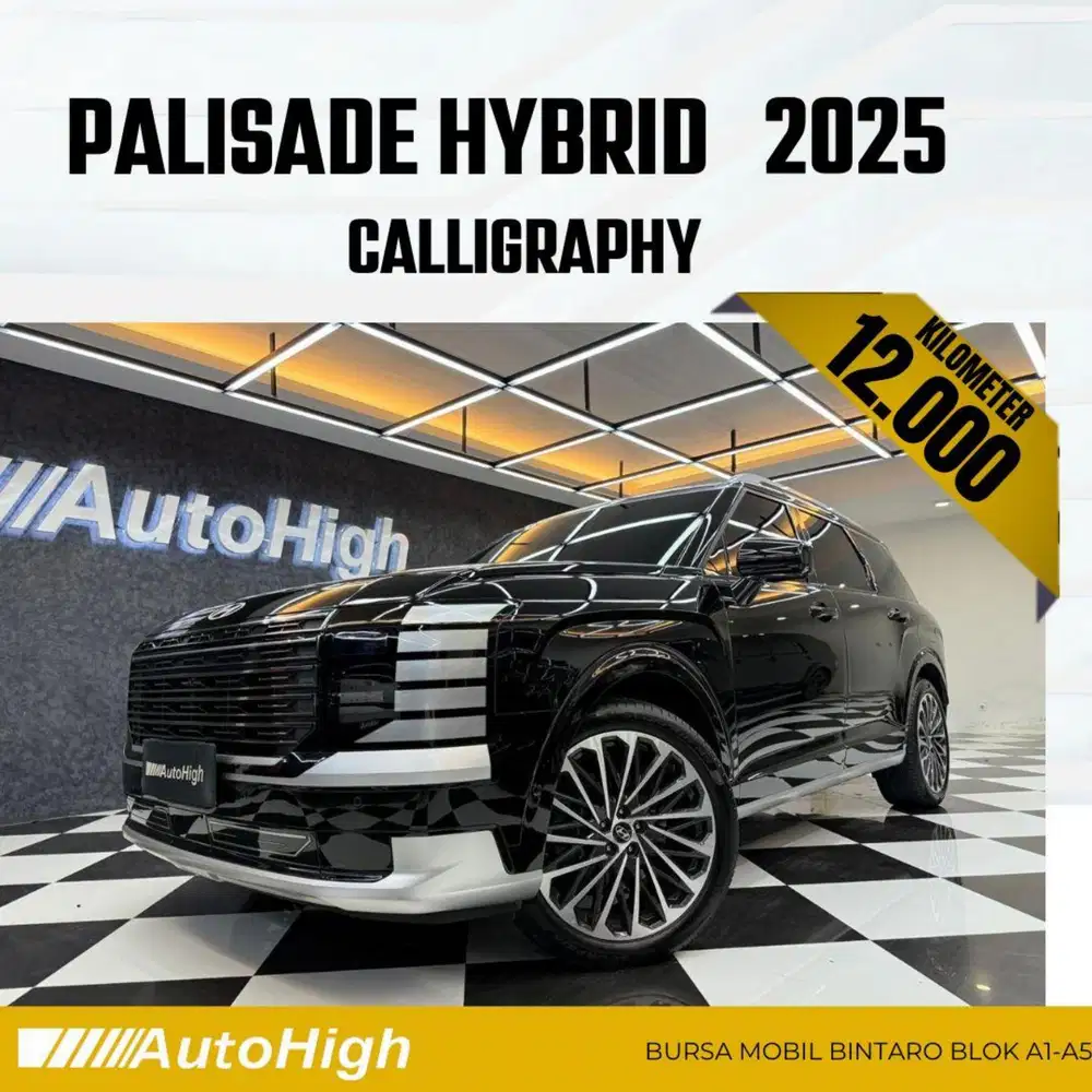 DP10% [Km12.000] Palisade Hybrid Calligraphy 2025 Reg 2026 #AUTOHIGH