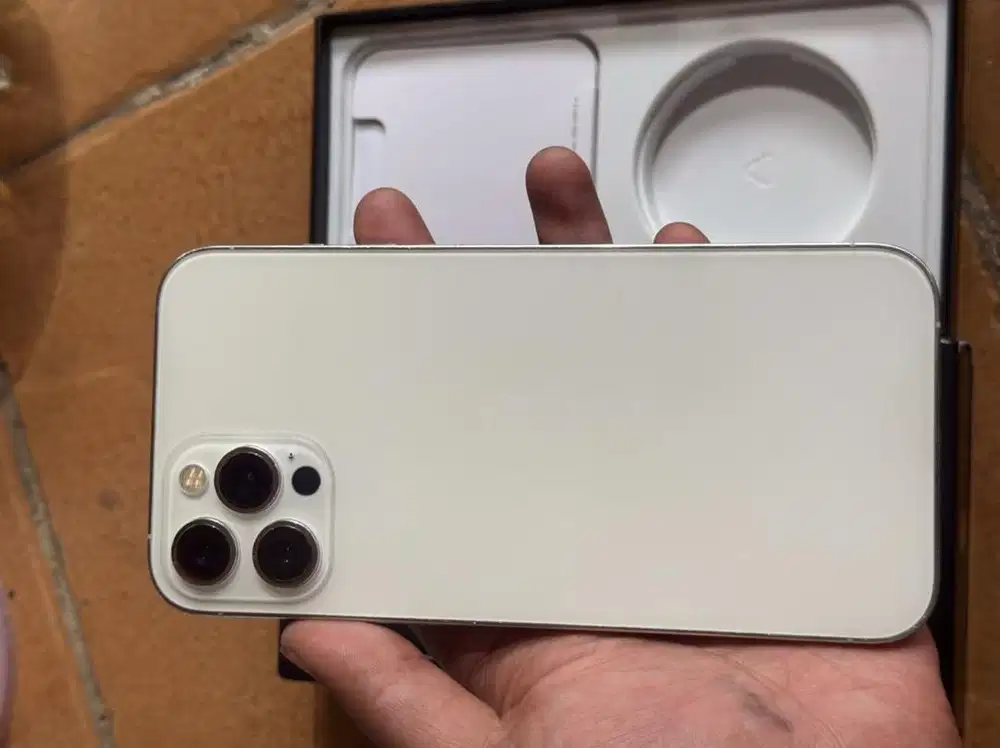 iphone 12 pro max 256gb ibox silver