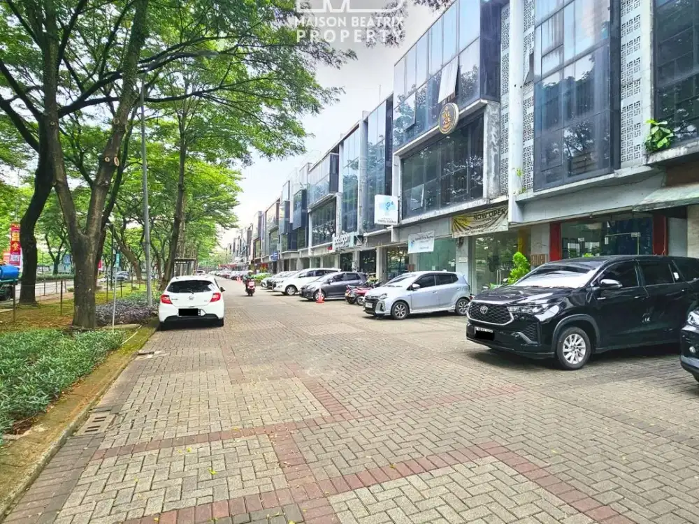 DIJUAL/DISEWAKAN RUKO 3LT SIAP HUNI DI THE ICON BSD, DEPAN KAMPUS ATMAJAYA