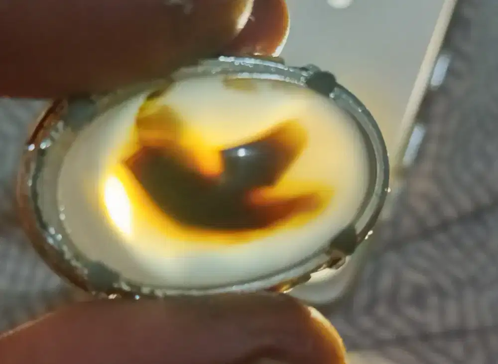 Batu akik motif burung terbang