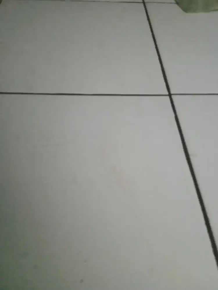 Bantu bantu packing paket