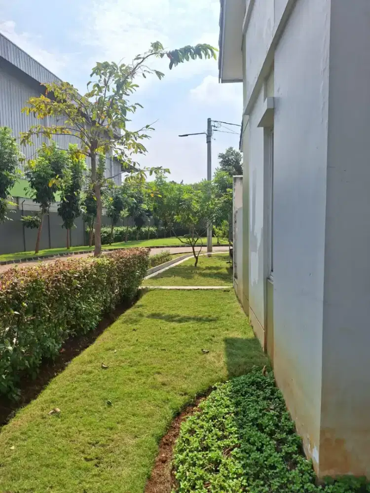 Lowongan kerja Rumah Tangga