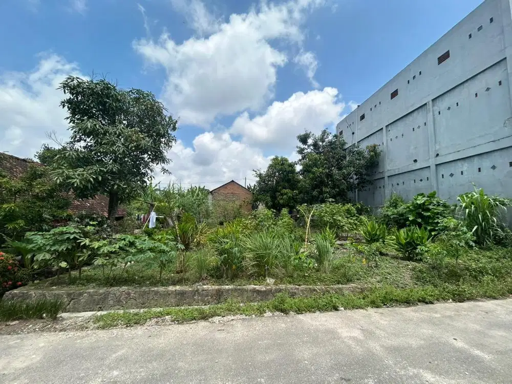 Di jual tanah ada bedeng luas 600m