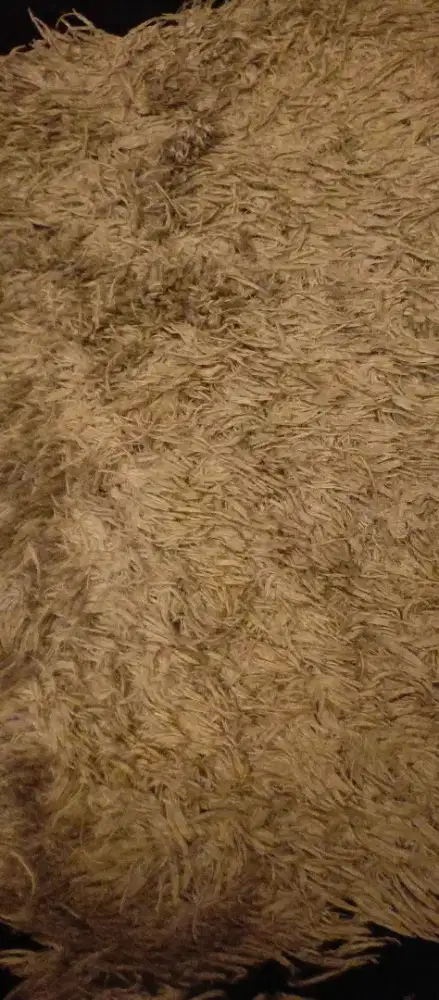 Butuh pegawai laundry serabutan