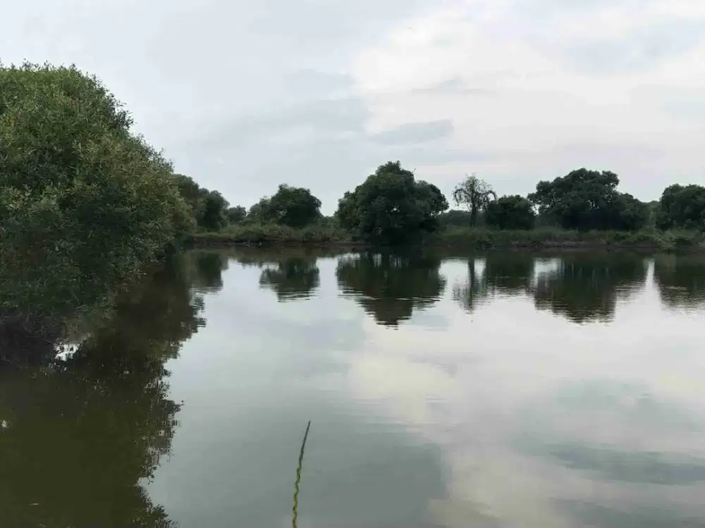 Dijual Tanah Tambak Kalang Anyar Sedati Sidoarjo