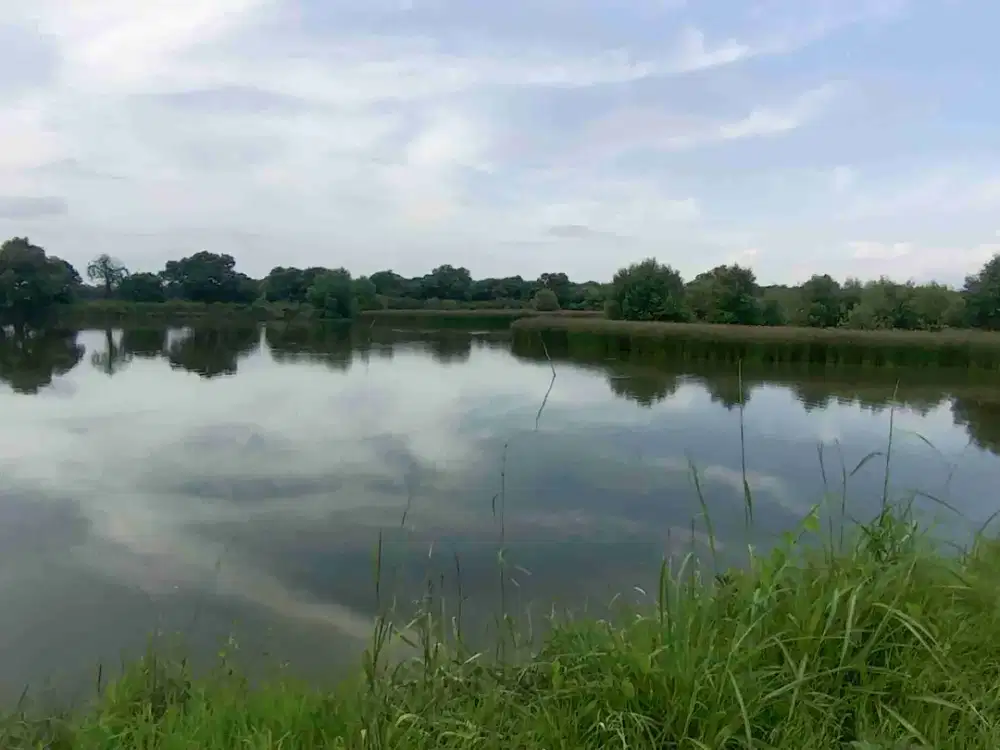 Jual Tanah Tambak Murah Kalang Anyar Sedati Sidoarjo