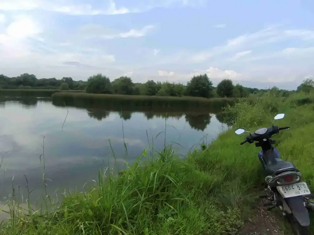 Dijual Tanah Tambak SHM Kalang Anyar Sedati Sidoarjo