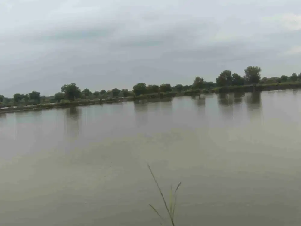 Jual Tanah Tambak 3km dari Jalan Kalanganyar Sedati Sidoarjo