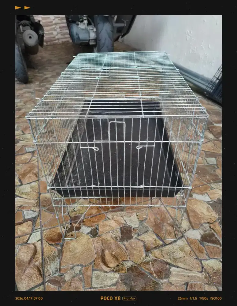 Kerambah mandi burung