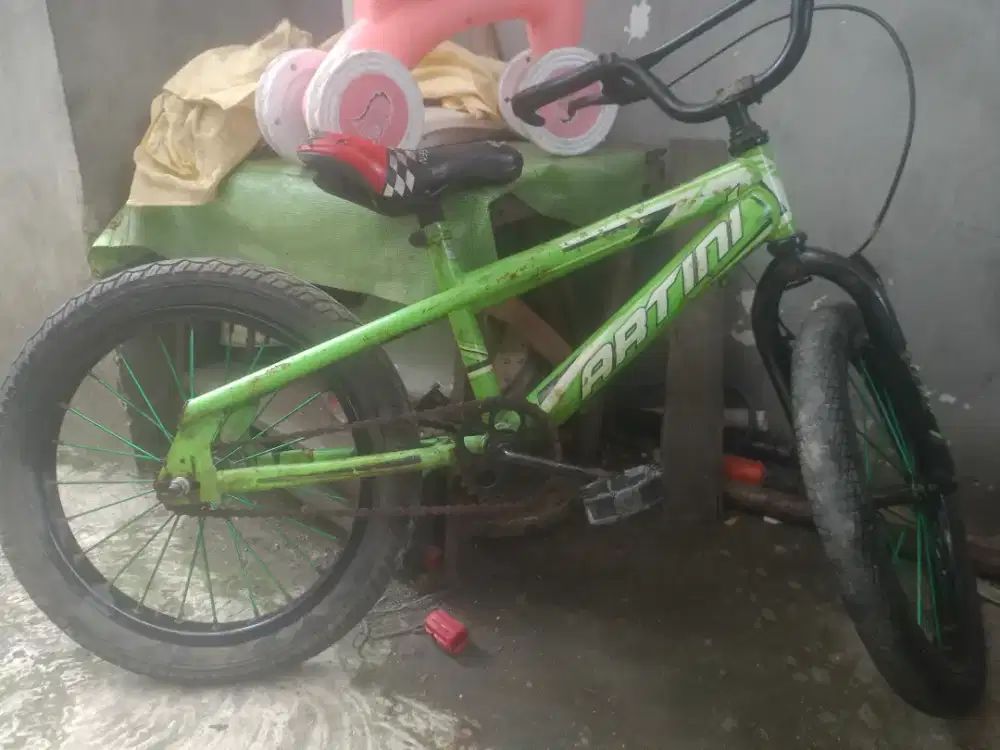 Sepeda untuk anak 8 sampai 10 tahun