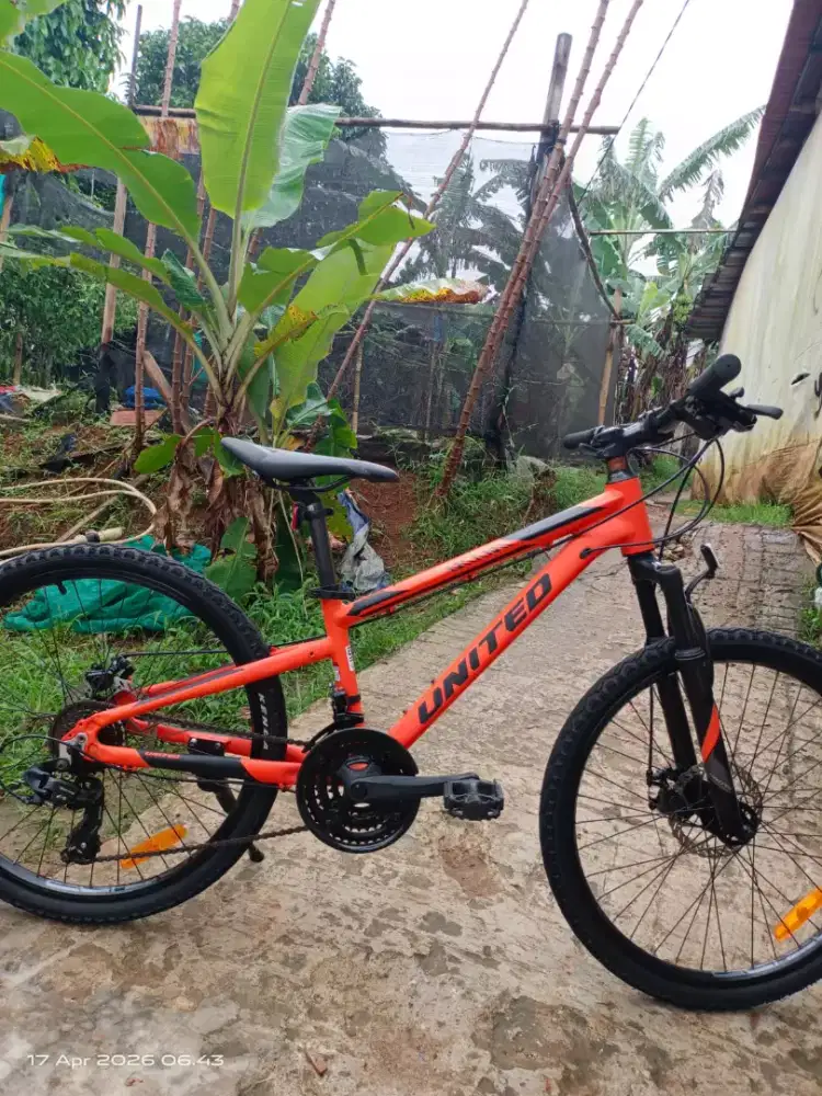 Sepeda mtb united Miami 24 aloy