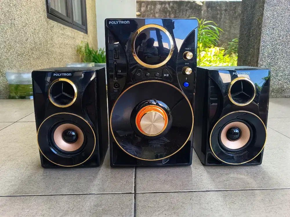 Speaker polytron pma 931055