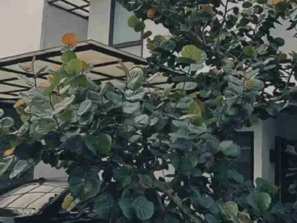 rumah dalam cluster jagakarsa siap huni bebas banjir