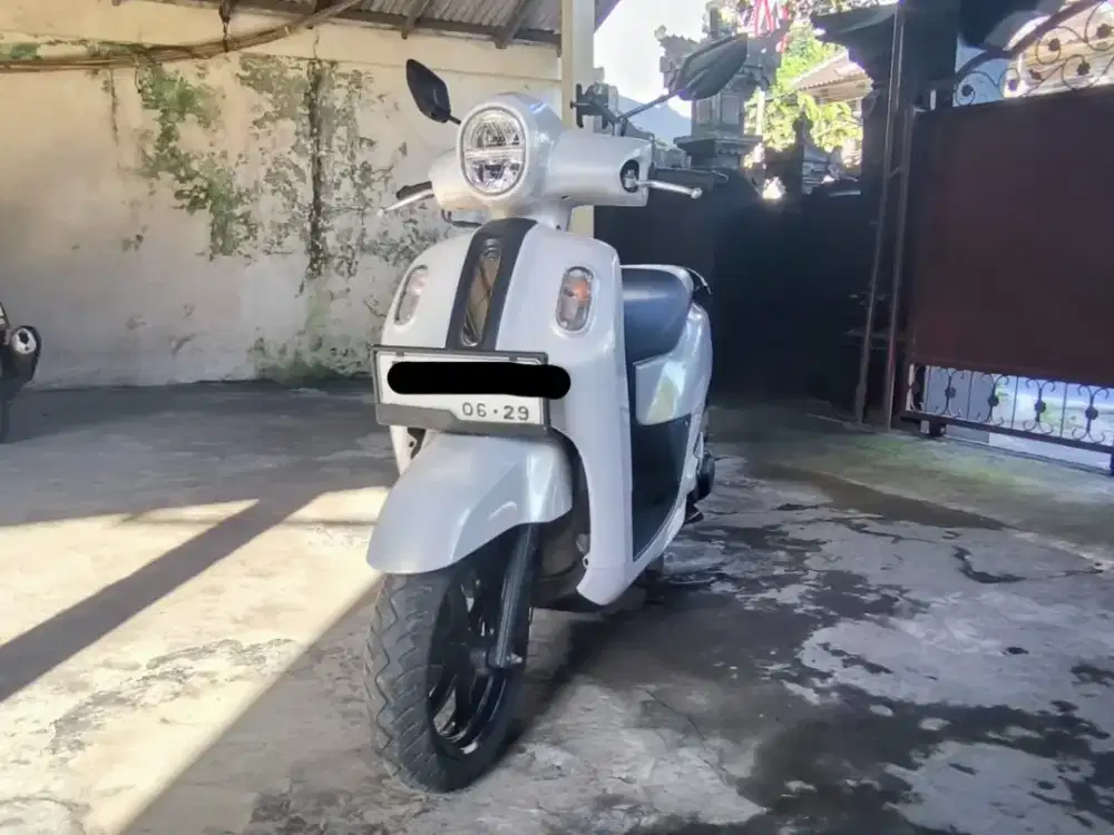 Fazzio 2024 mulus apik