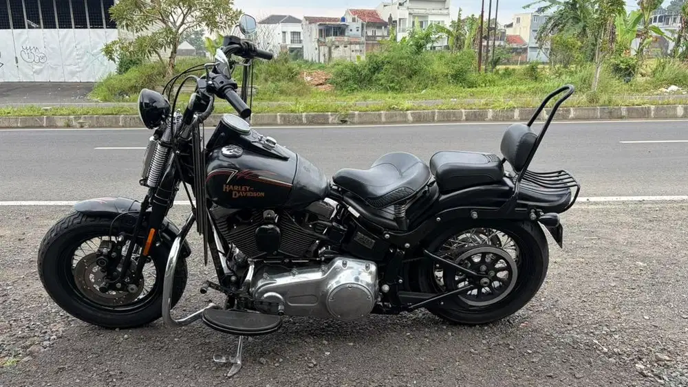 HD Softail Springer Crossbones 2009