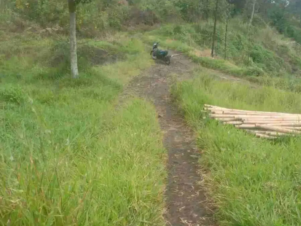 Tanah kebun 5 Ha, Karangpawitan untuk berkebun