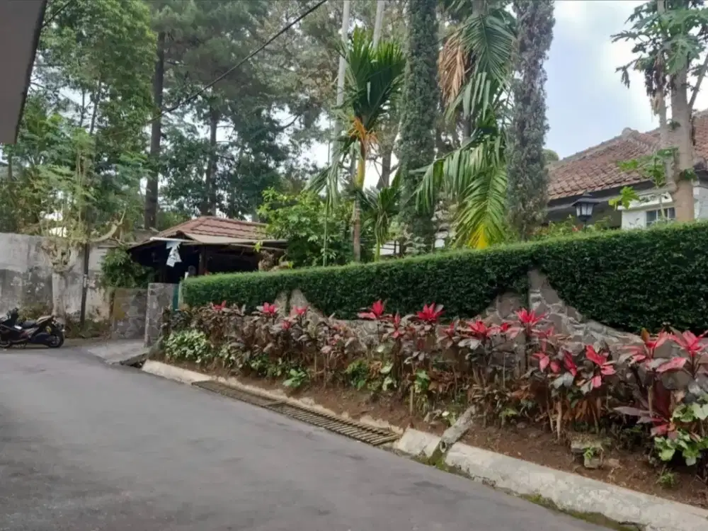Rumah Hook Luas & Asri Terawat di Tubagus Ismail Kota Bandung