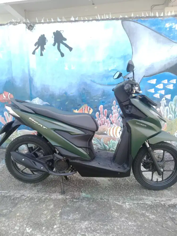 Jual beat tahun 2024