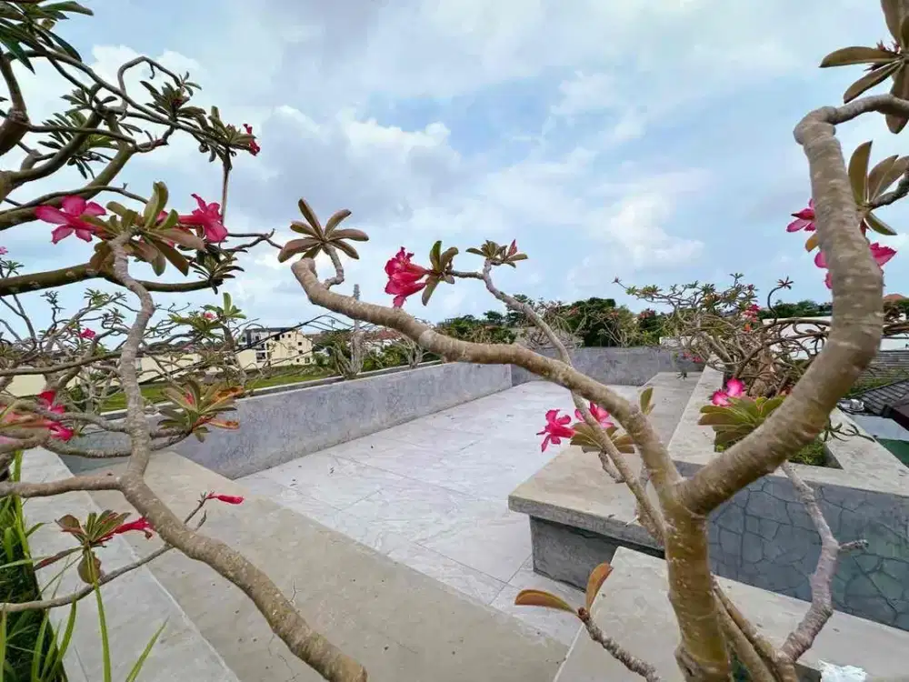 NEW VILLA FOR SALE: CANGGU'S ULTIMATE LIFESTYLE & RENTAL GOLD MINE!