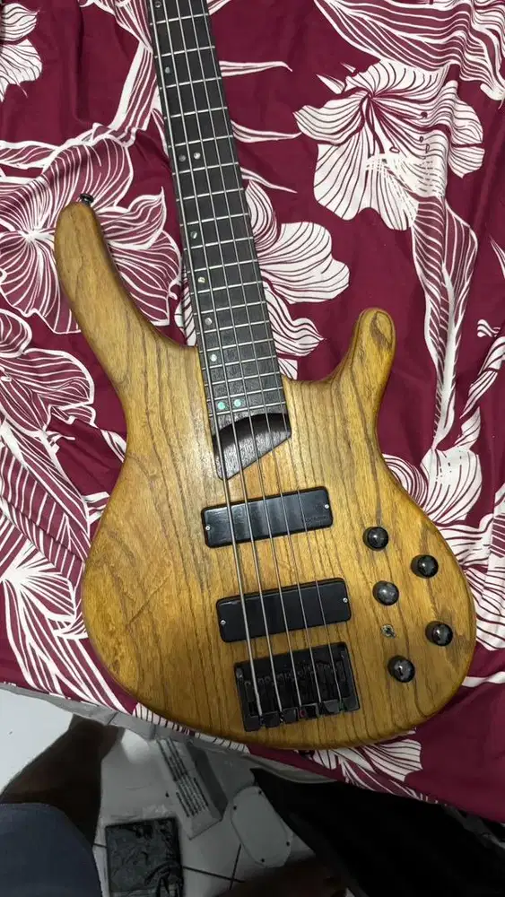 Bass Cort B5 dengan octa case