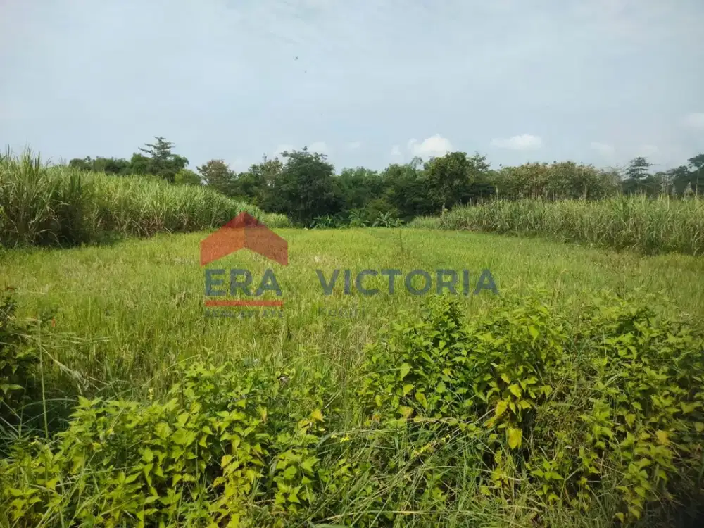 Tanah Sawah Campurejo Kota Kediri 3 Menit dari Terminal Tamanan