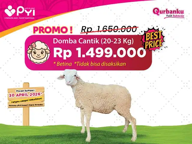 Qurban 2026/1447 H - Qurban Domba Paket Cantik Qurban Domba Betina