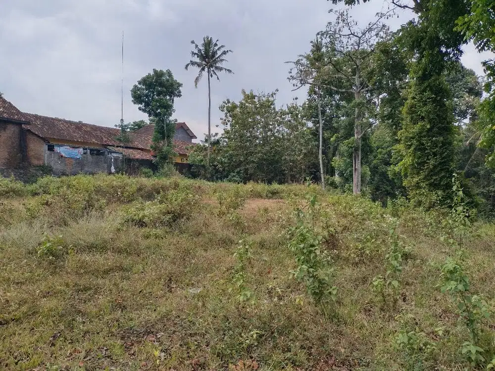 Dijual Tanah di Bawu Batealit Jepara