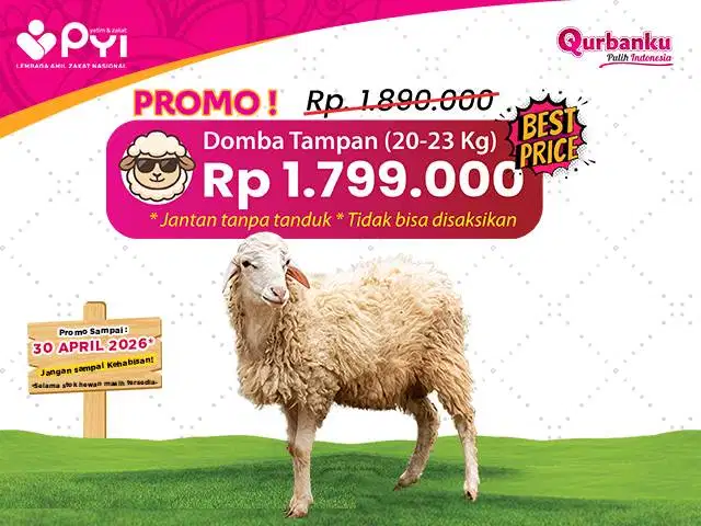 Qurban 2026/1447 H - Qurban Domba Paket Tampan Qurban Domba Jantan