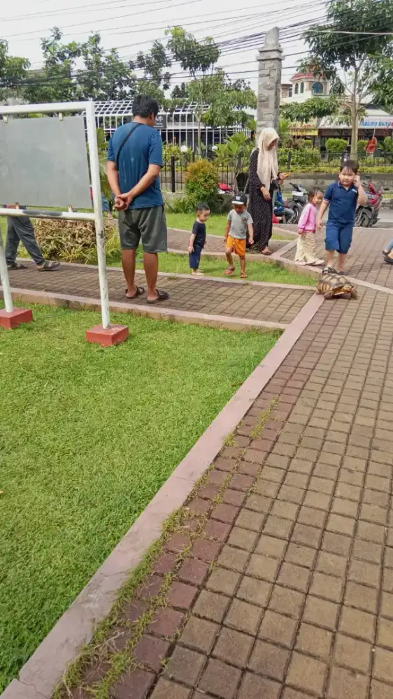 Lowongan ART Bisa asuh Bayi