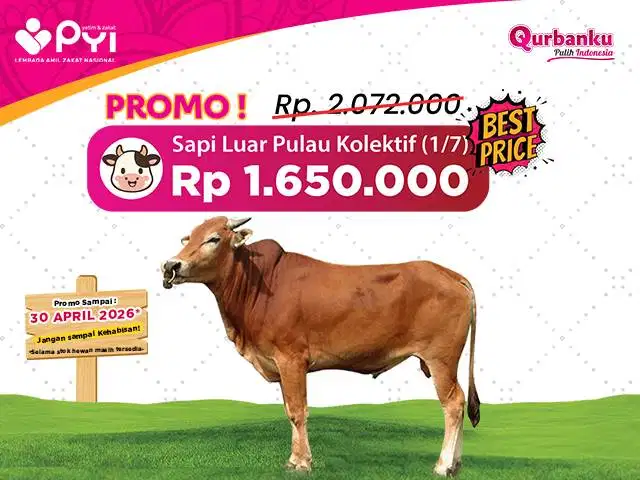 Qurban 2026/1447 H - Qurban Sai Patungan Distribusi luar pulau jawa