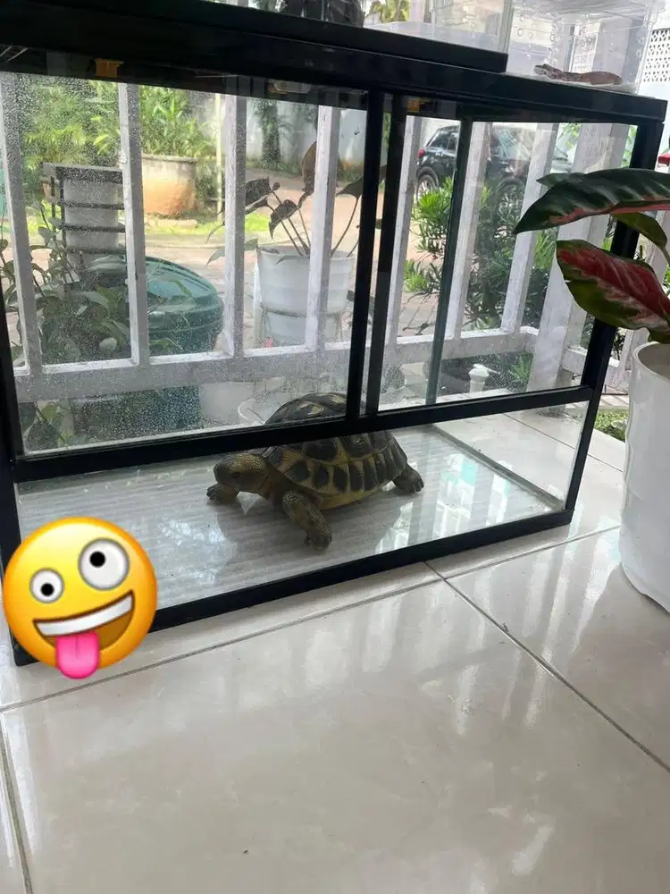 Terarium pintu geser